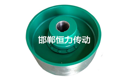 NGCLZ型帶制動輪鼓形齒...